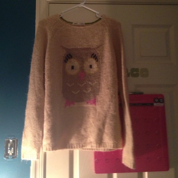 Sketchy Owl Sweater