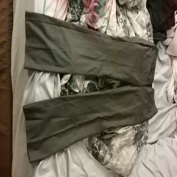 Dress pants