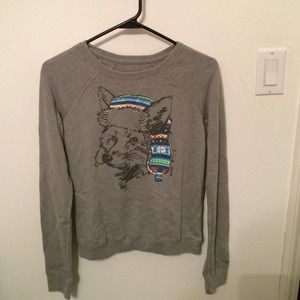 || HOLLISTER SWEATER ||