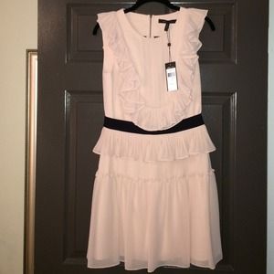 BCBGMAXAZRIA Britt Bare Pink Dress Size 6