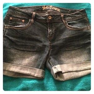 Size 17 Denim Shorts