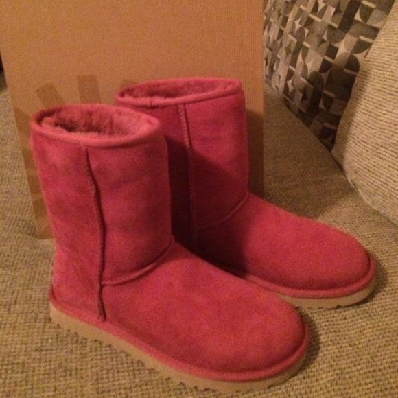 Classic Sangria UGGS - Never worn.
