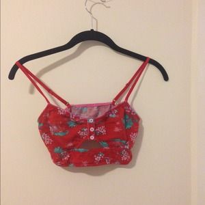 Hollister Gilly Hicks bralette