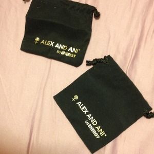 🚫Sold!!🚫Alex and Ani bracelet bags