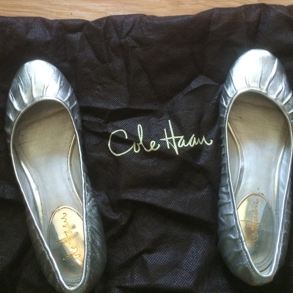 Silver Cole Hahn shoes with bag