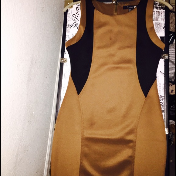 Fitted dress, never been worn out. - Picture 3 of 4