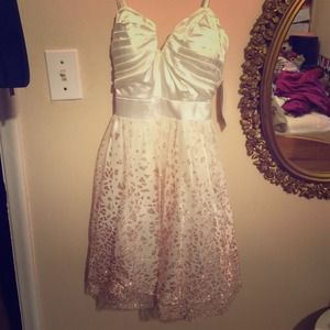 Homecoming/Prom Dress