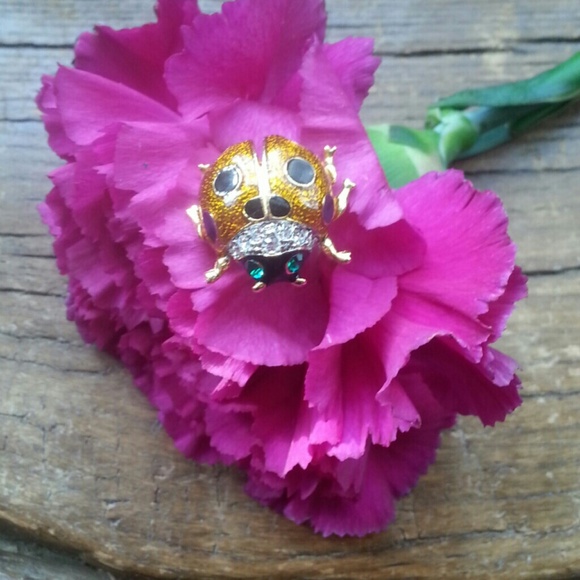 Ladybug Pin