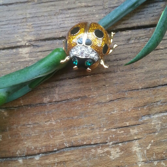 Ladybug Pin - Picture 2 of 3
