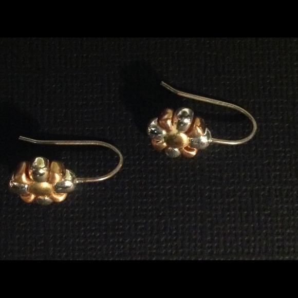 Bronze/Silver
