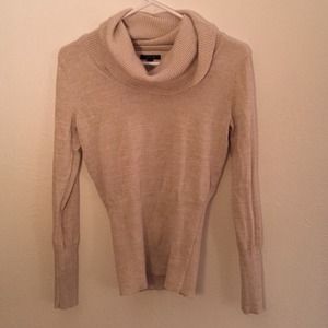 Tan and gold skinny waist knit top