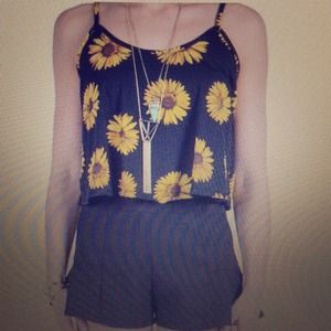 Sunflower swing tank