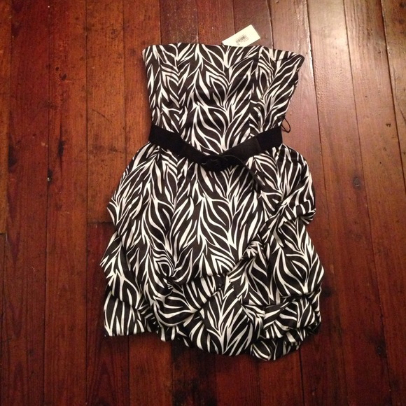 Zebra Striped Strapless Dress!  NWT!