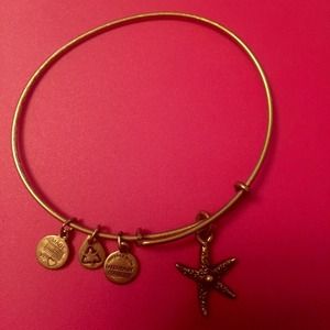 Alex and Ani charm bracelet