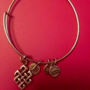 Alex and Ani bracelet