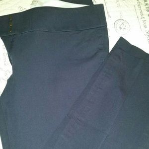 LOFT Marisa cut blue slacks