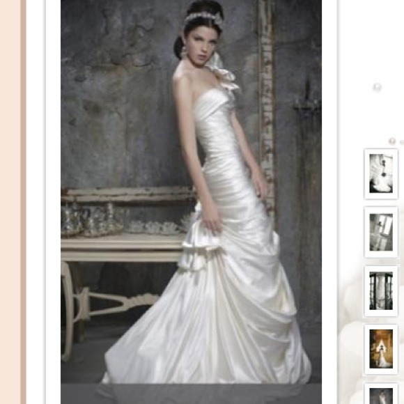 Pnina Tornai Wedding Gown - Kleinfelds NYC - Picture 4 of 4