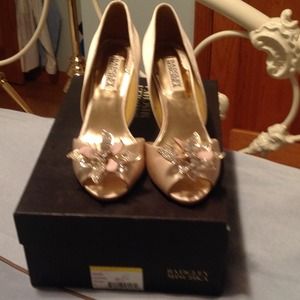 Badgley Miscka pumps