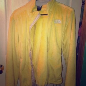 the north face