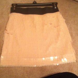 Blush Sequined Bodycon Skirt
