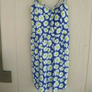 Blue Daisy Dress