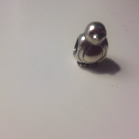 Pandora charm