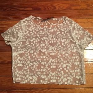 Sheer lace crop top by TOPSHOP
