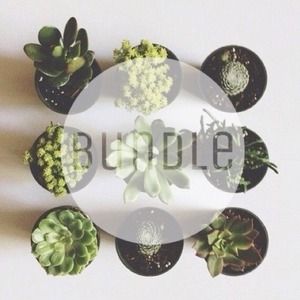 Bundle for reeselucky5 :)