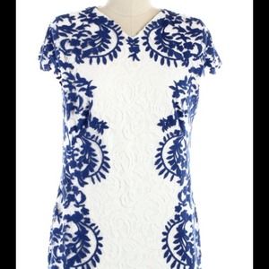 Tadashi Shoji lace overlay dress