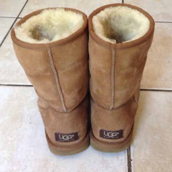 ❌SOLD❌Short Chestnut Uggs - Picture 2 of 2