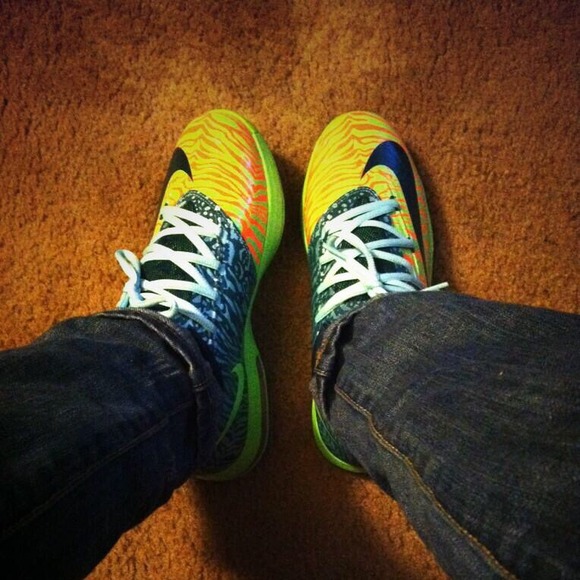 Nike KD "Ligers"