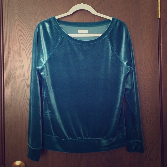 Aerie Long Sleeve Velvet Top