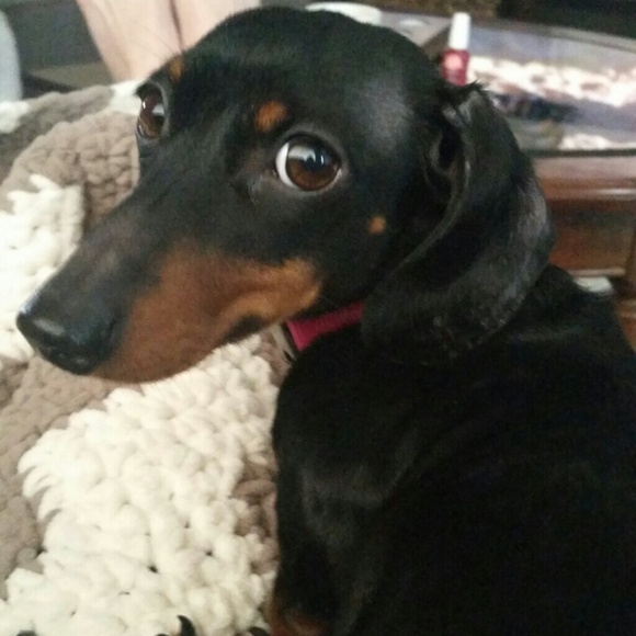 Top Rated Seller🎉 - Picture 4 of 4