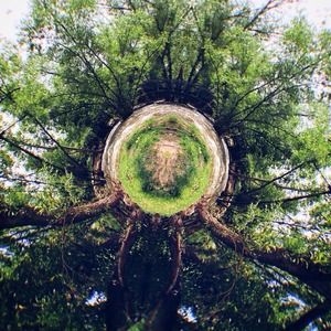 DREAM CATCHER bundle