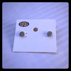 Fossil studs