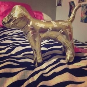 Victoria's Secret Pink dog !