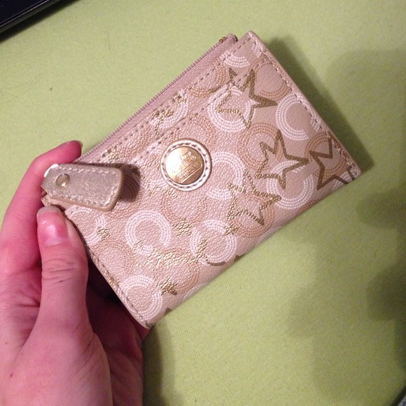 Coach Mini Skinny