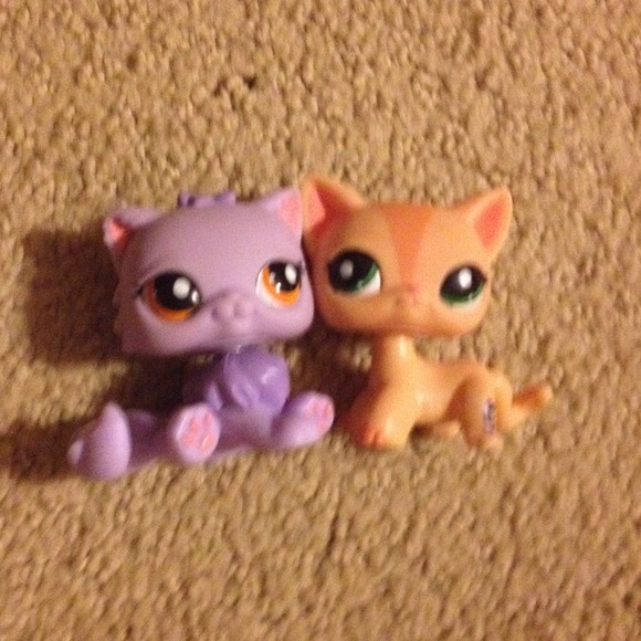 Cat bundle for imagodgirl