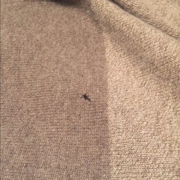 Multicolored Beige and Brown Cashmere Sweater - Picture 4 of 4