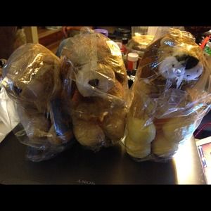 NWT Webkinz