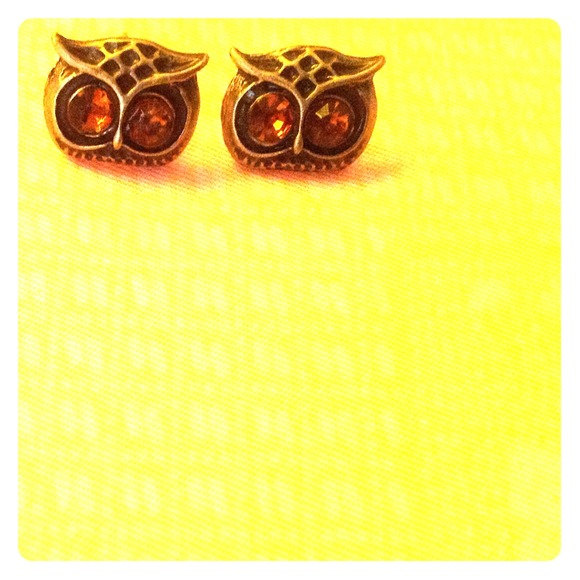Bronze brown eyed owl stud earrings