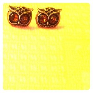 Bronze brown eyed owl stud earrings