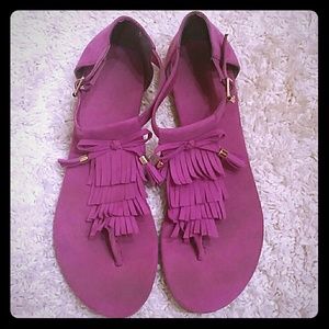 Magenta gladiators
