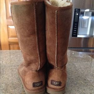 Tall chesnut uggs