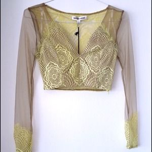 Love and Lemons inspired Crop Top !