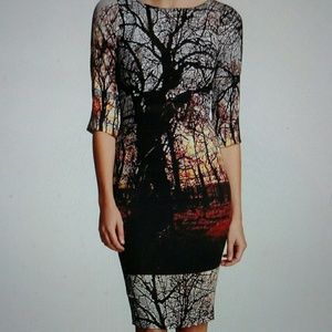 Sold! Tracy Reese Dress! Size 0