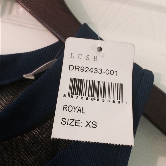 Lush Royal Mesh dress - Picture 4 of 4