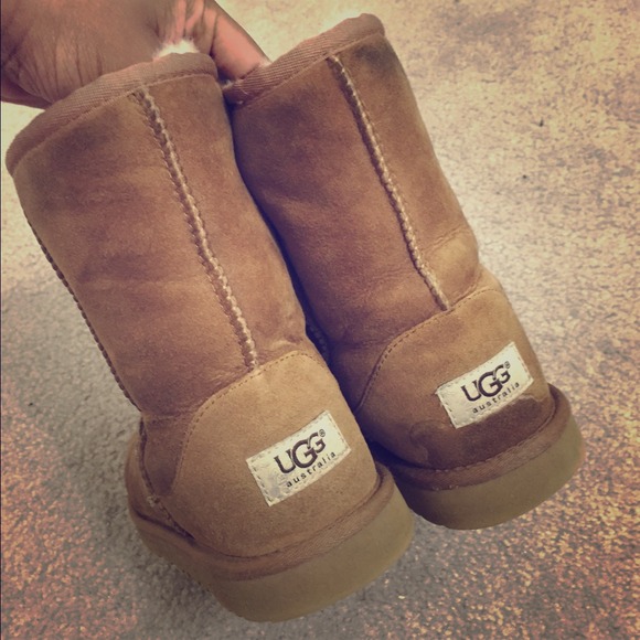 Chesnut classic uggs