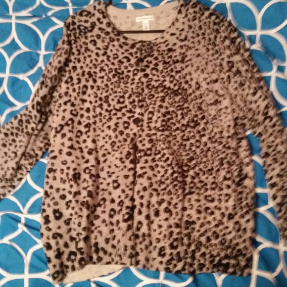 Cardigan