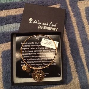 Alex and Ani bracelet